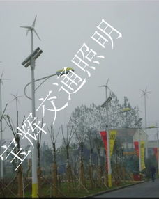 廠家供應海南省三亞市8米42w風光互補太陽能路燈產(chǎn)品圖片高清大圖