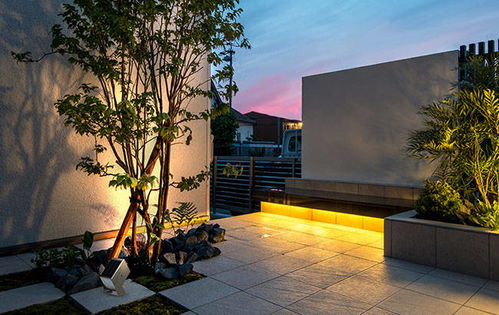 植物景觀照明設(shè)計(jì)四大原則及常見照明方式