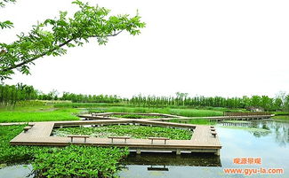 西安園林設計 陜西觀源景觀設計 西安園林設計理念