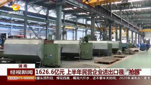 民營企業業績搶眼 上半年進出口總額突破1626.6億元，絲網制品表現突出